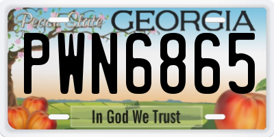 GA license plate PWN6865