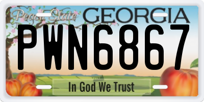 GA license plate PWN6867
