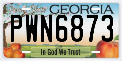 GA license plate PWN6873