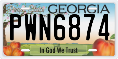 GA license plate PWN6874