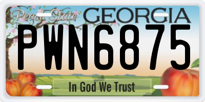 GA license plate PWN6875