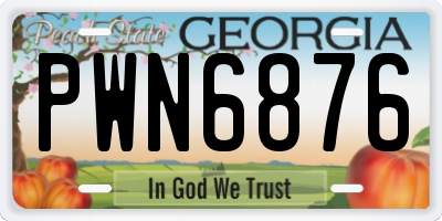GA license plate PWN6876