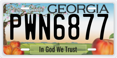 GA license plate PWN6877