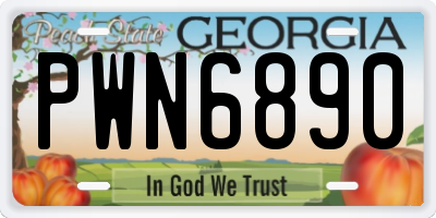 GA license plate PWN6890