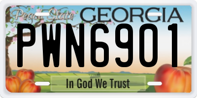 GA license plate PWN6901