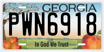 GA license plate PWN6918