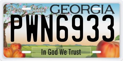 GA license plate PWN6933