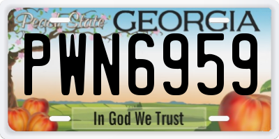 GA license plate PWN6959