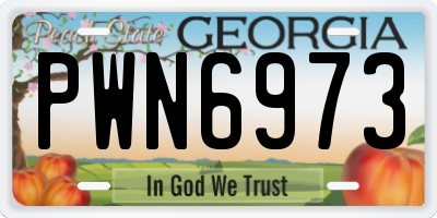 GA license plate PWN6973