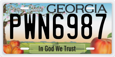 GA license plate PWN6987