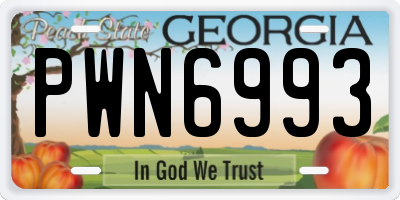 GA license plate PWN6993
