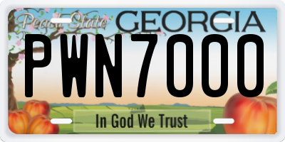 GA license plate PWN7000