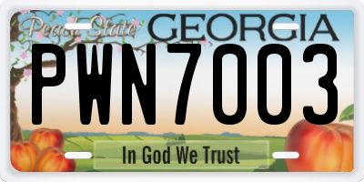 GA license plate PWN7003
