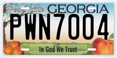 GA license plate PWN7004