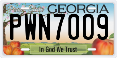 GA license plate PWN7009