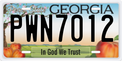 GA license plate PWN7012