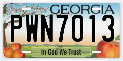 GA license plate PWN7013