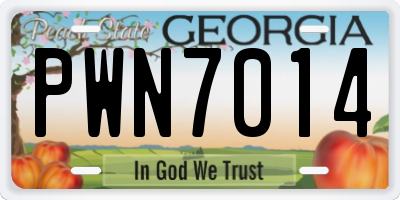 GA license plate PWN7014