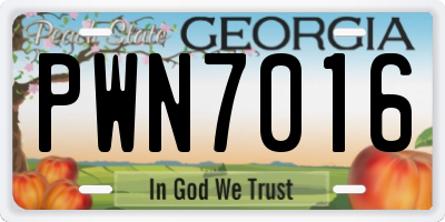 GA license plate PWN7016
