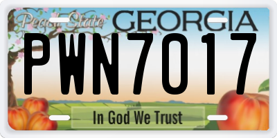 GA license plate PWN7017
