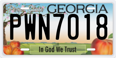 GA license plate PWN7018