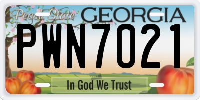 GA license plate PWN7021