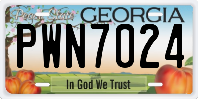 GA license plate PWN7024