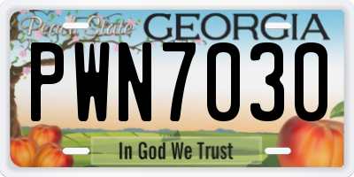 GA license plate PWN7030