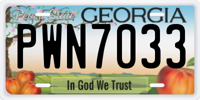 GA license plate PWN7033