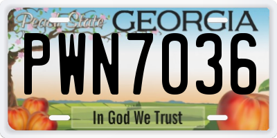 GA license plate PWN7036