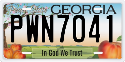 GA license plate PWN7041