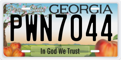 GA license plate PWN7044
