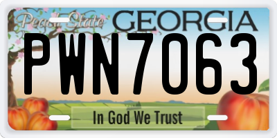 GA license plate PWN7063