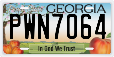 GA license plate PWN7064