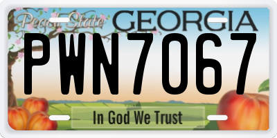 GA license plate PWN7067