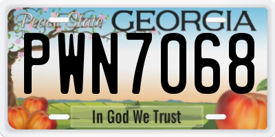 GA license plate PWN7068