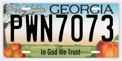 GA license plate PWN7073
