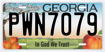 GA license plate PWN7079