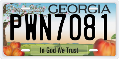 GA license plate PWN7081