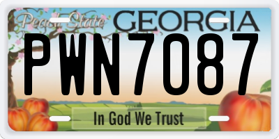 GA license plate PWN7087