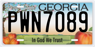 GA license plate PWN7089