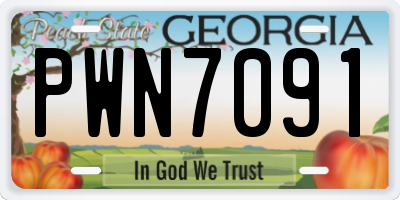 GA license plate PWN7091