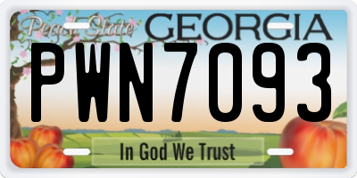 GA license plate PWN7093