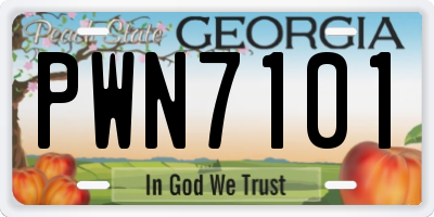 GA license plate PWN7101