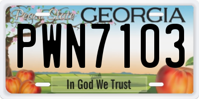 GA license plate PWN7103