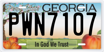 GA license plate PWN7107