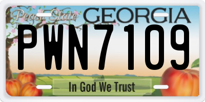 GA license plate PWN7109
