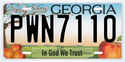 GA license plate PWN7110