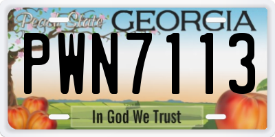 GA license plate PWN7113
