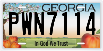 GA license plate PWN7114